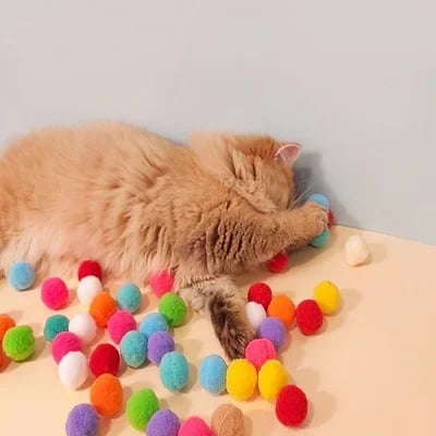 Endless Fun for Your Cat: Enhance Happiness with Playtime