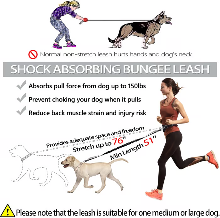 Soft Control Dog Leash for Relaxed Walks Without Jerking