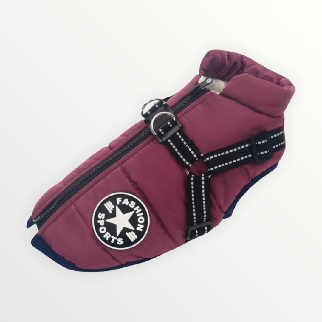 StormPaw™ Weather Jacket — Keep Your Dog Warm, Dry, and Effortlessly Controlled on Every Adventure