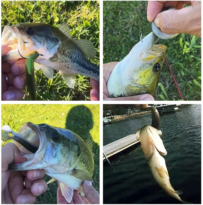 VixaStrike™ — Hook Trophy Fish Faster with Lures They Can’t Resist