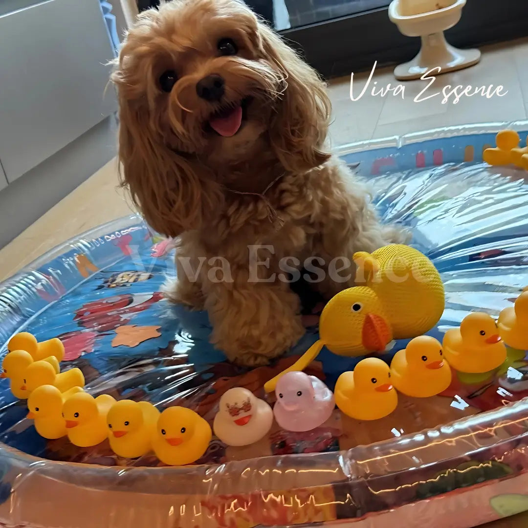 GlacierPaw™ — Ultimate Cooling Comfort That Soothes Joints and Energizes Every Nap