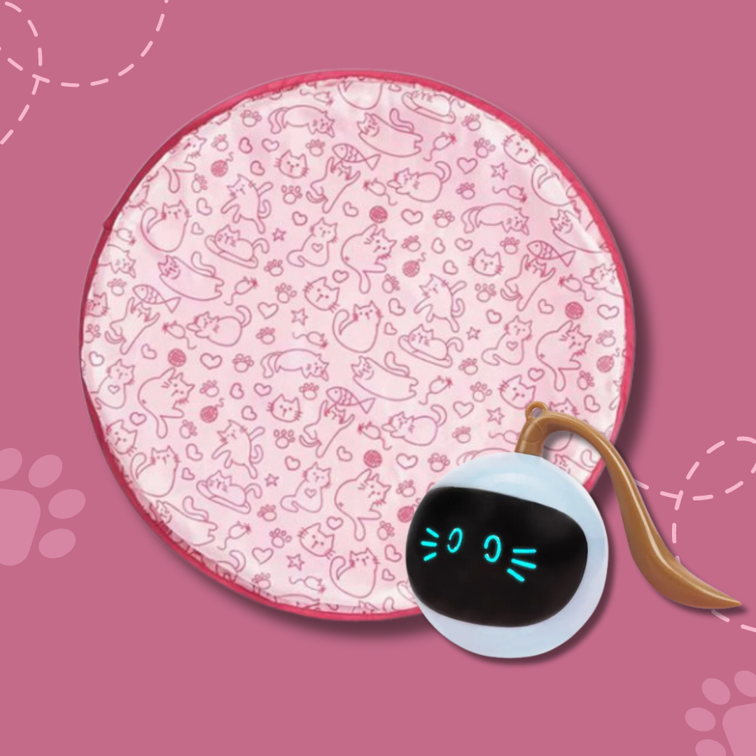 PurrQuest™ — Ignite Your Cat’s Wild Instincts for Endless Thrills and Energy