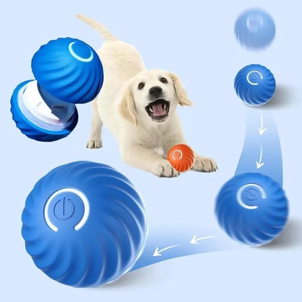 VitaPounce™ — Ignite Your Dog’s Wild Instincts with Endless, Hands-Free Play