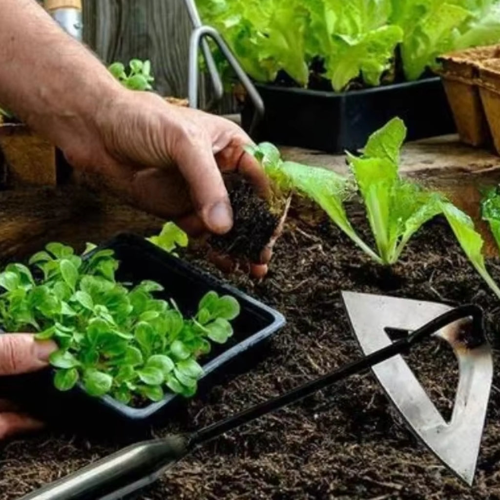 Weeding Tool | Upright Weed Removal Without Bending | Hollow Forged Steel Blade | RootPath