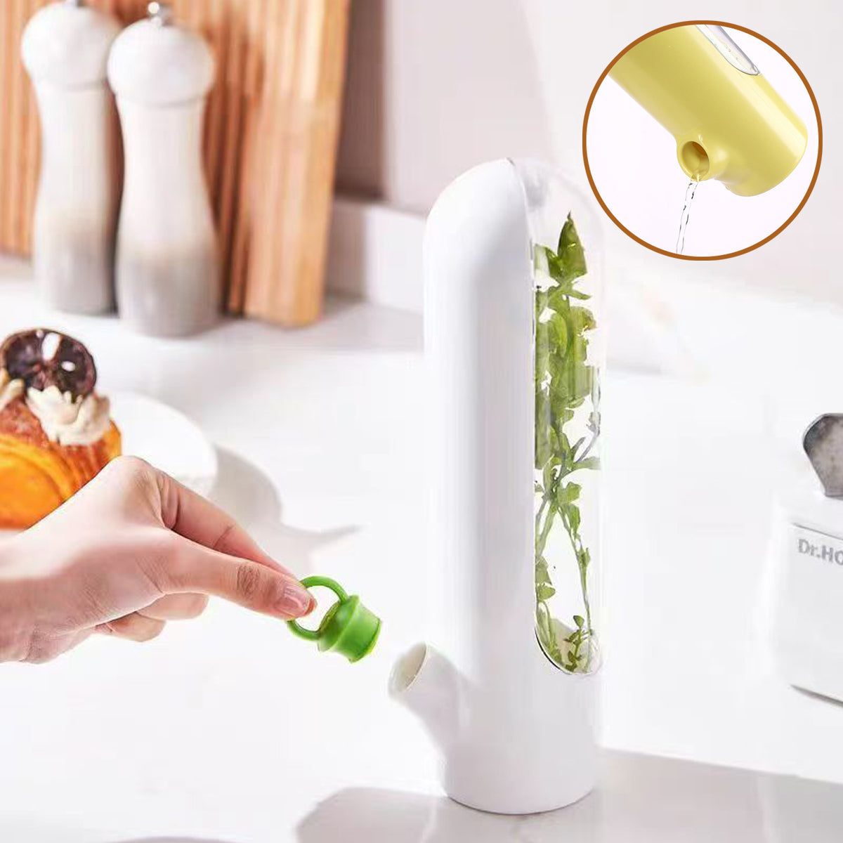 Container for Storing Fresh Herbs and Vegetables