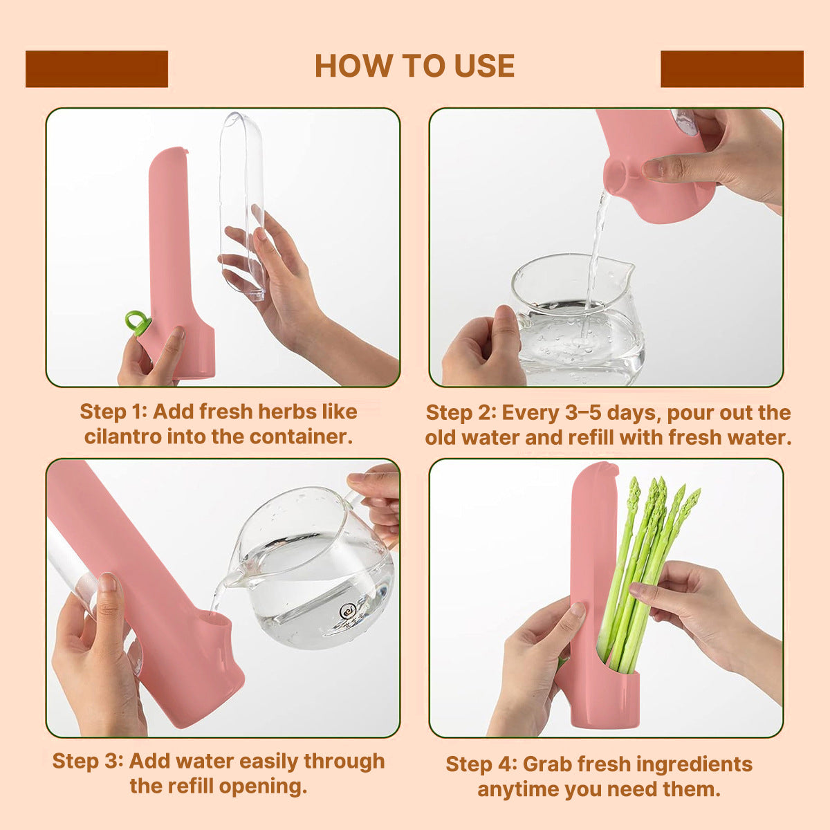 Container for Storing Fresh Herbs and Vegetables