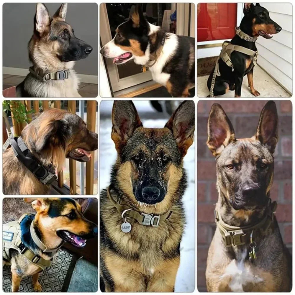 Tactical Dog Collar with Control Handle - Military-Grade Design