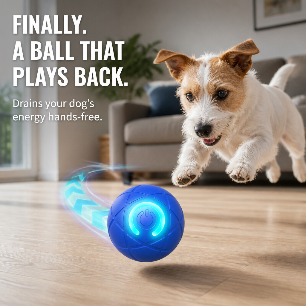 DashRoll™ — Burn Off Your Dog's Energy While You Work, Hands-Free