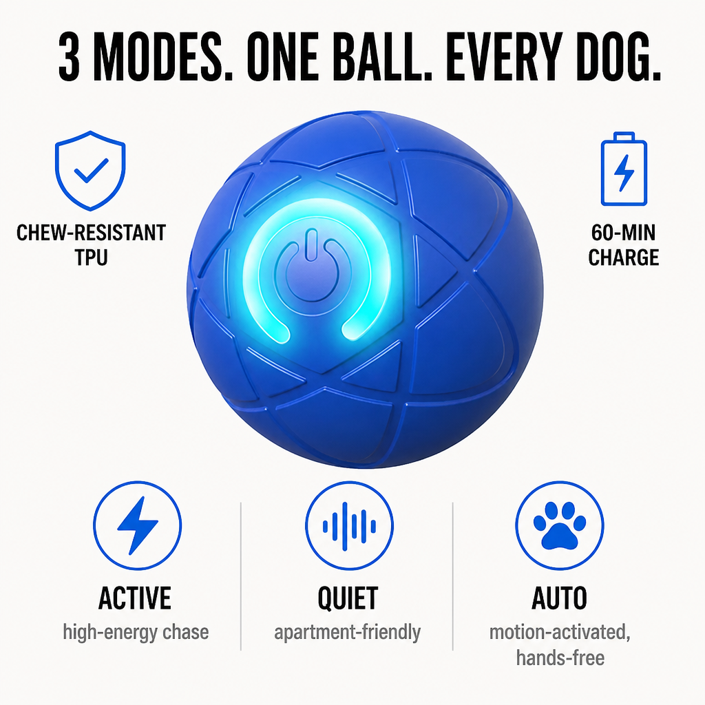 DashRoll™ — Burn Off Your Dog's Energy While You Work, Hands-Free