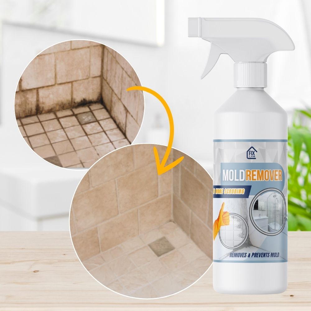 BactiShield™ — Erase Mold Fast for a Safer, Fresher Home