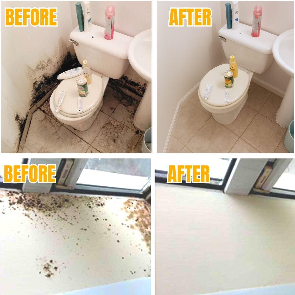 BactiShield™ — Erase Mold Fast for a Safer, Fresher Home