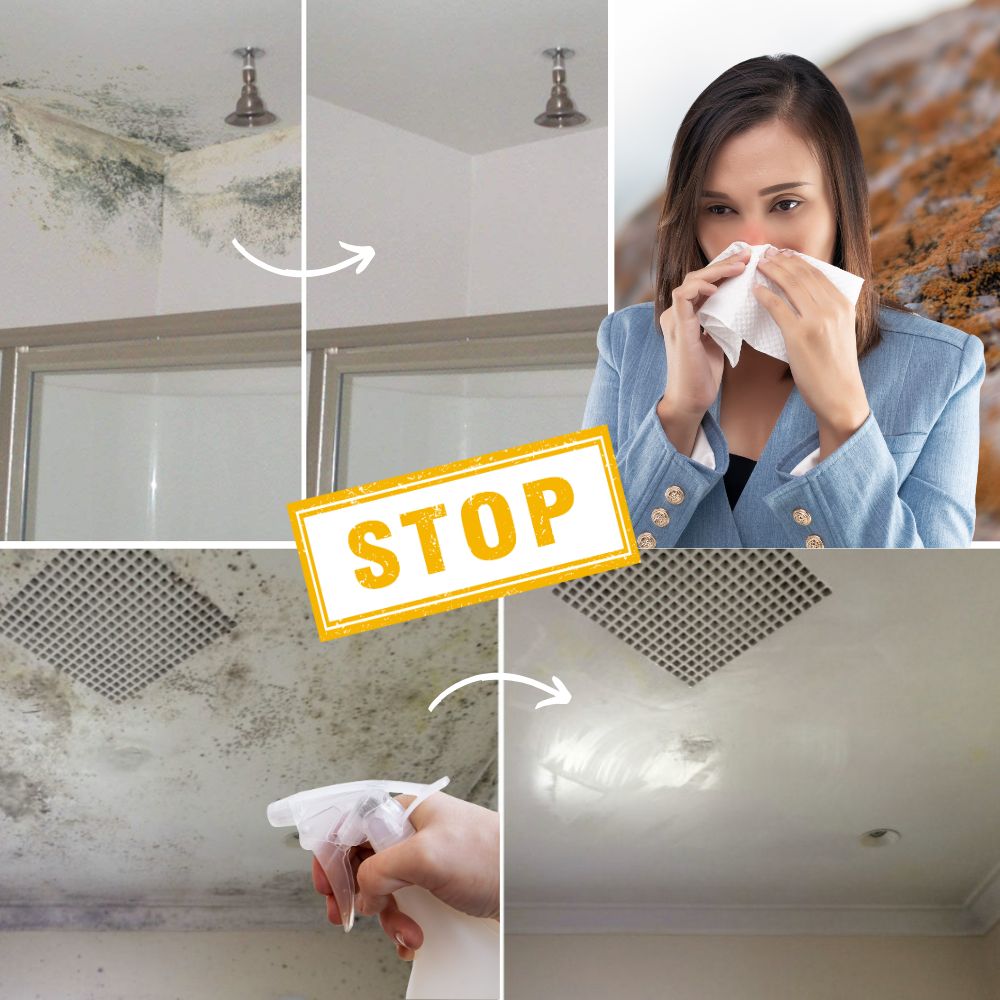 BactiShield™ — Erase Mold Fast for a Safer, Fresher Home