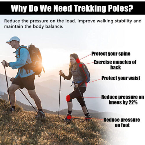 Pair of Adjustable Trekking Poles with Anti-Shock Feature
