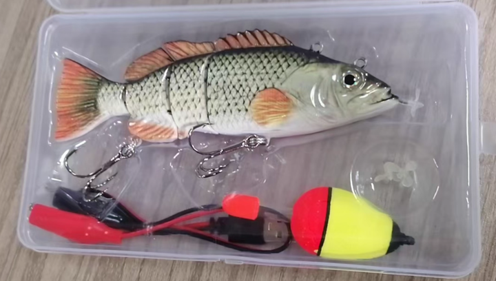 More Bites, Less Waiting – PredatorX Fishing Gear