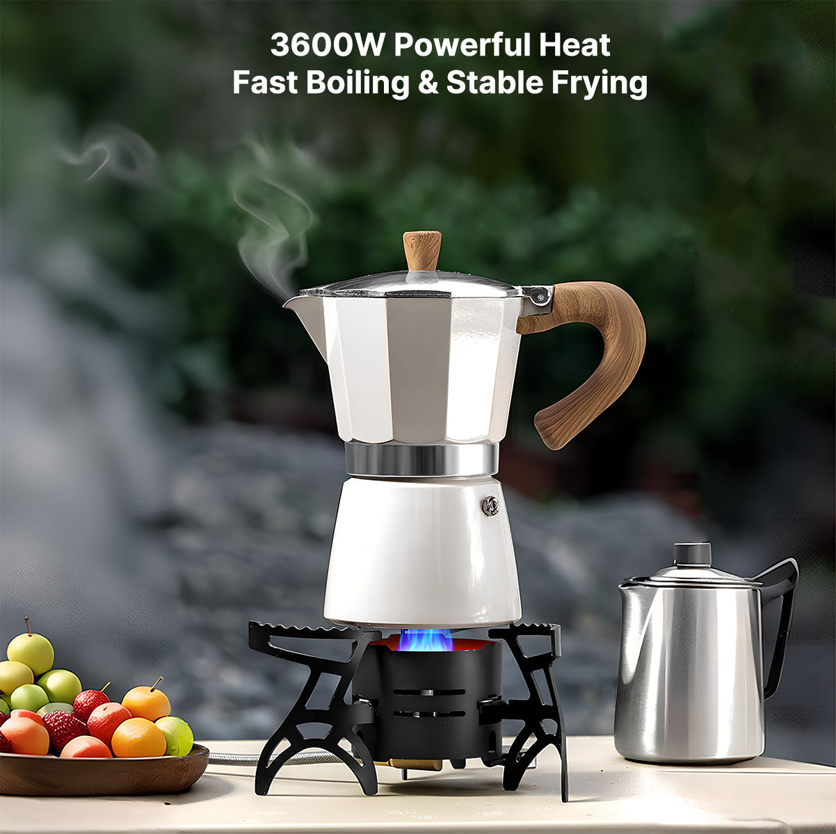 Camping Gas Stove 3600W with Portable Carrying Case