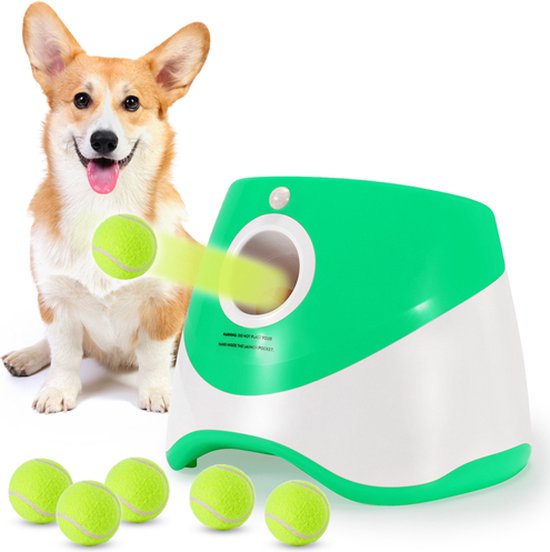 Unleash Endless Fun for Your Energetic Champion with PlayPulse
