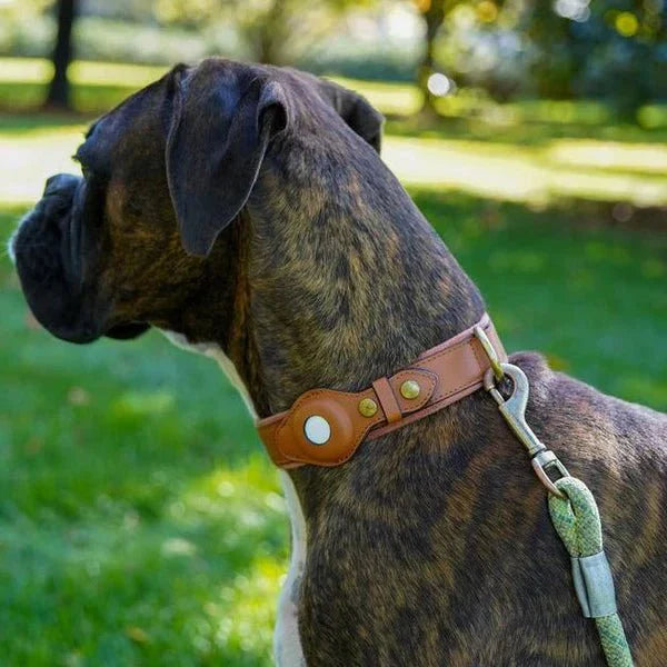 AirTag Dog Collar for Location Tracking – Compatible with Apple AirTag