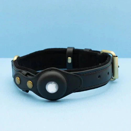 AirTag Dog Collar for Location Tracking – Compatible with Apple AirTag