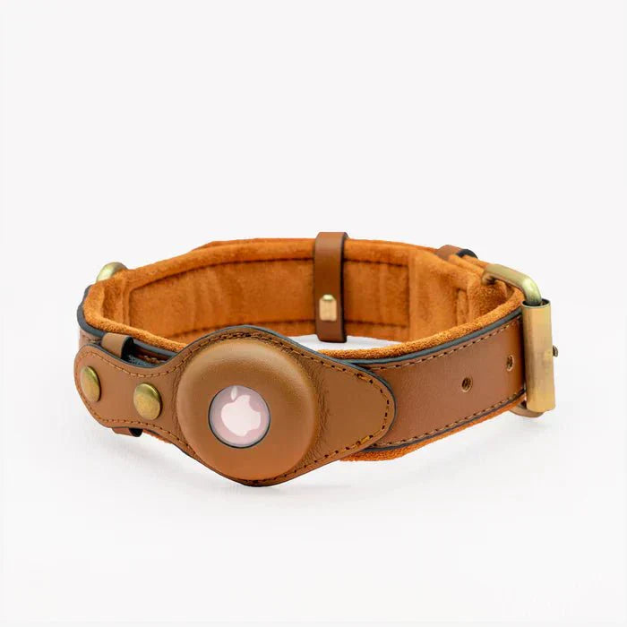 AirTag Dog Collar for Location Tracking – Compatible with Apple AirTag