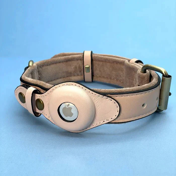 AirTag Dog Collar for Location Tracking – Compatible with Apple AirTag