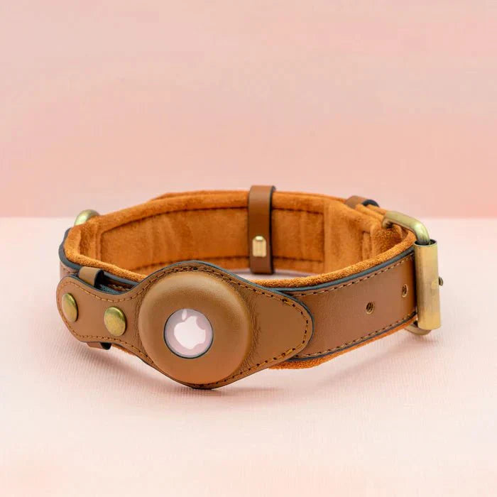 AirTag Dog Collar for Location Tracking – Compatible with Apple AirTag