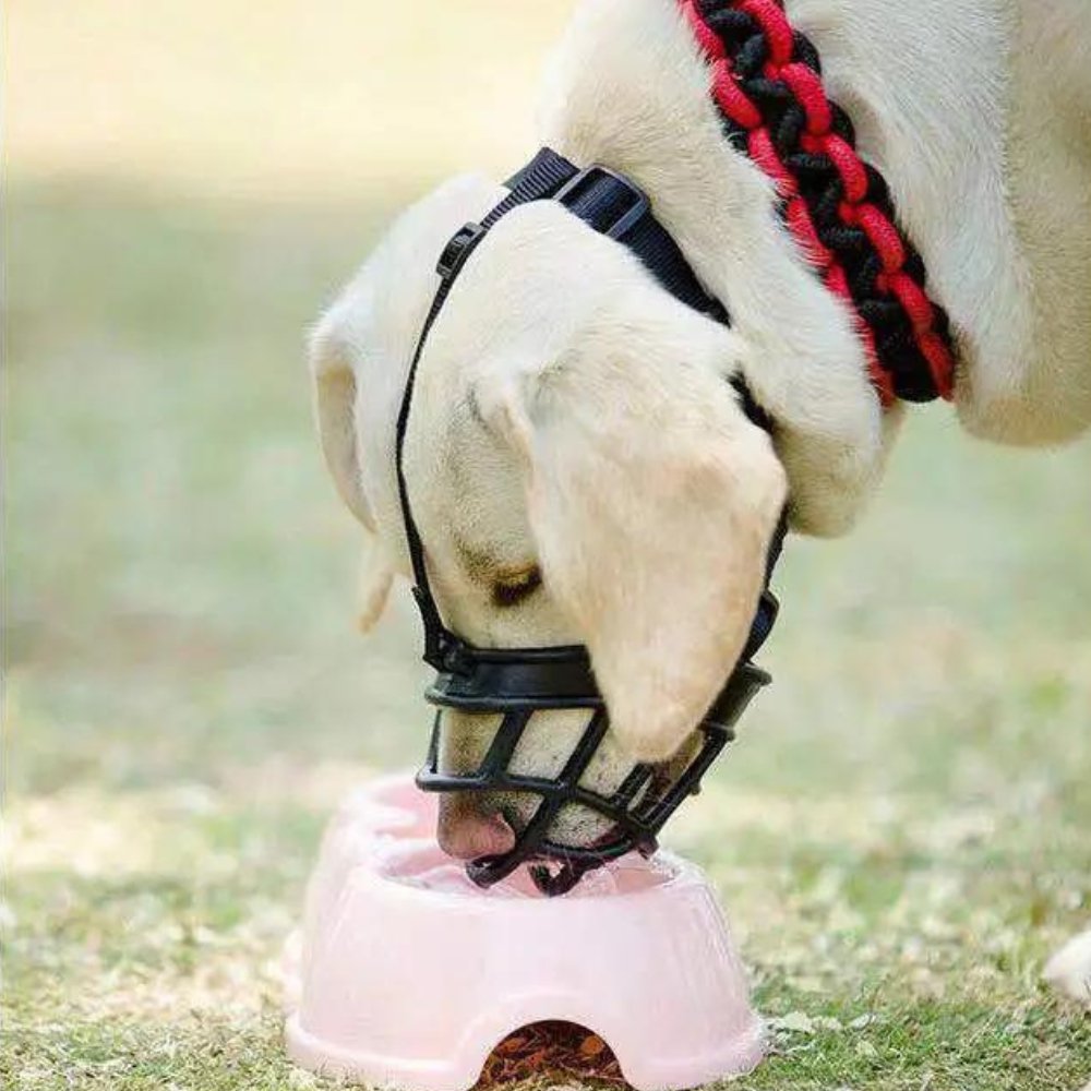 Adjustable Straps Dog Muzzle for Comfortable and Safe Use