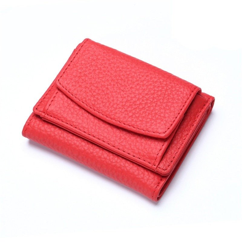 Securly - Anti Credit Card Fraud Wallet