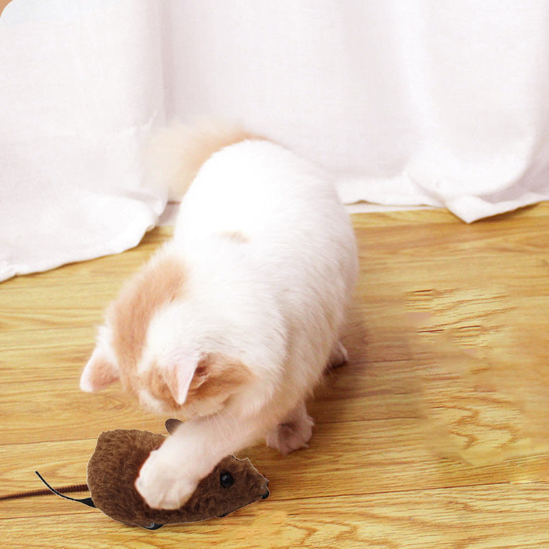 Endless Play Fun for Dogs and Cats