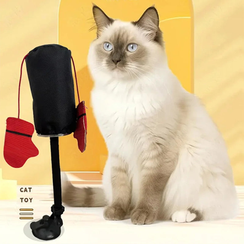 PawPunch Pro - Energy Box Fun for Cats