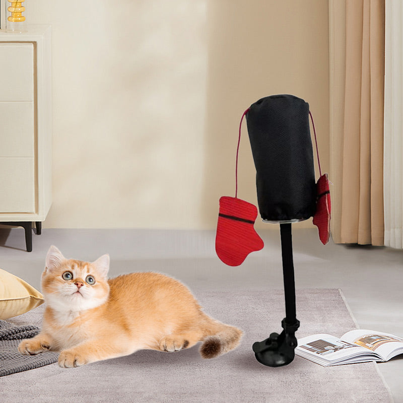 PawPunch Pro - Energy Box Fun for Cats