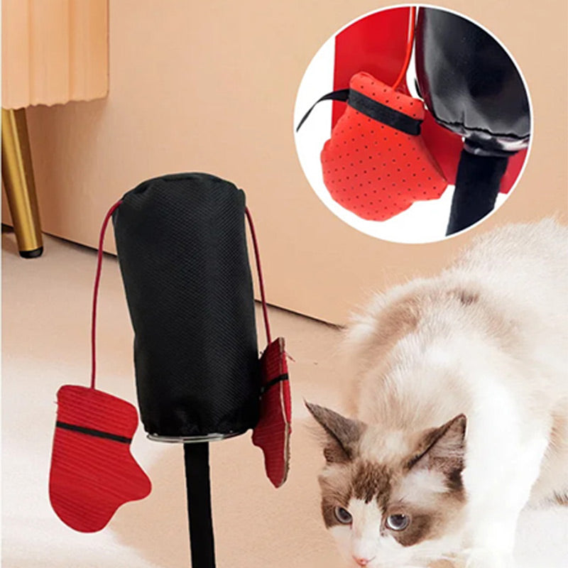 PawPunch Pro - Energy Box Fun for Cats
