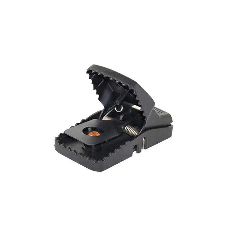 Rodent Control Solution for a Safe and Clean Home