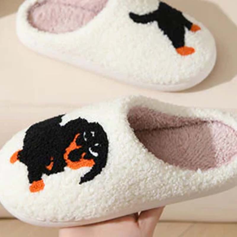 Cozy and Warm Winter Slippers for Dachshunds