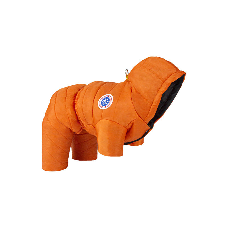 Transform Cold Winter Days into Cozy Comfort Moments for Your Dog