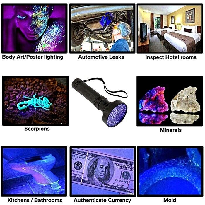 395nm UV LED Flashlight - High Intensity Blacklight