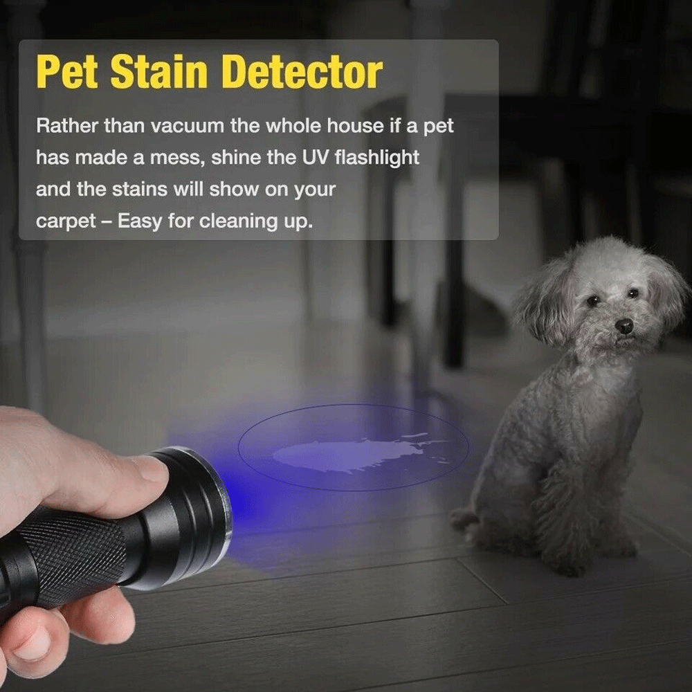 395nm UV LED Flashlight - High Intensity Blacklight