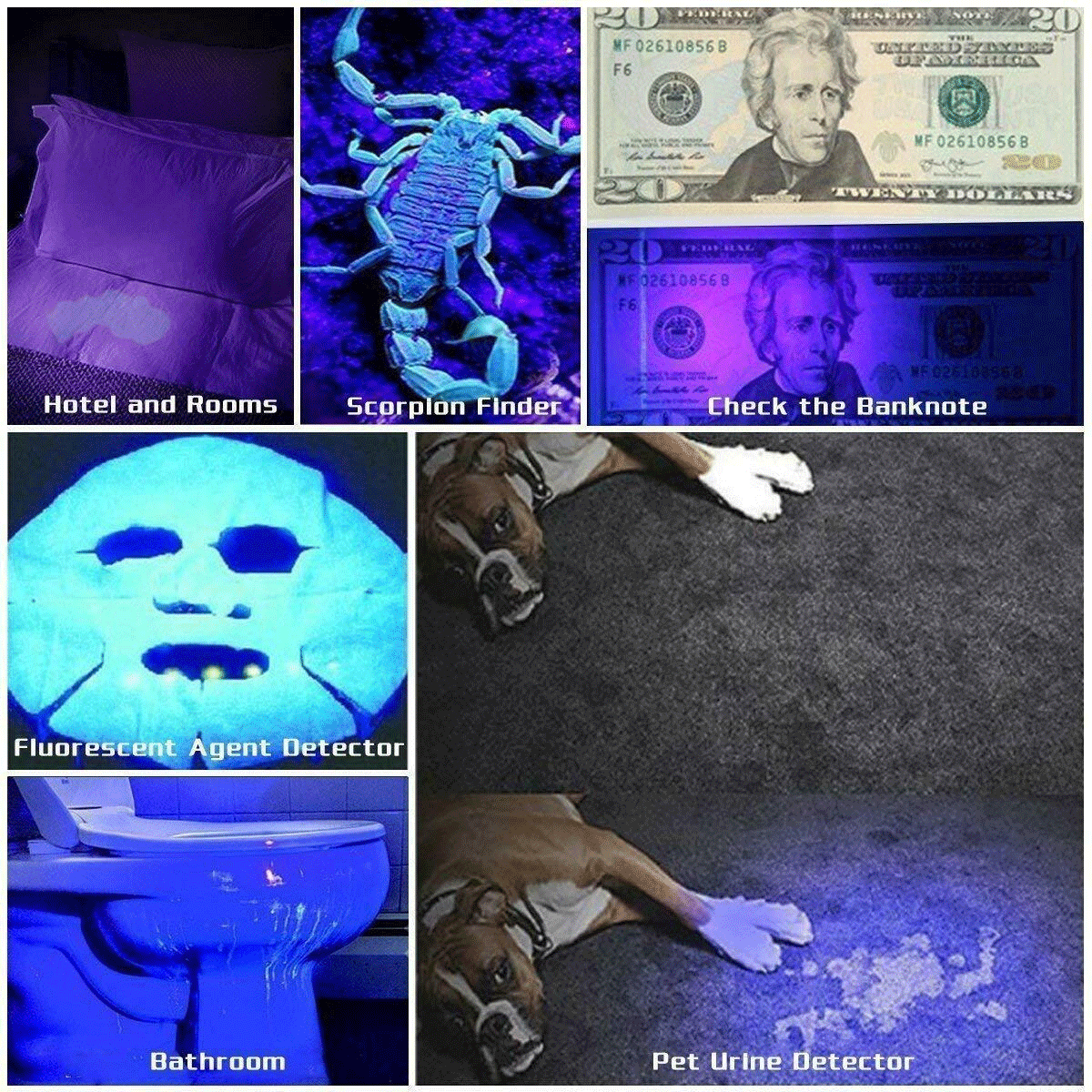 395nm UV LED Flashlight - High Intensity Blacklight