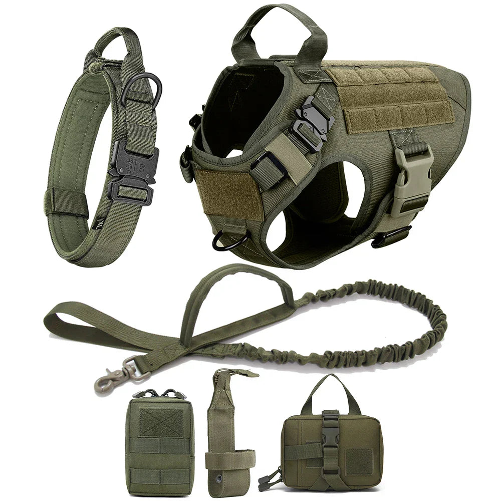 No-Pull Dog Harness for Training and Outdoor Activities