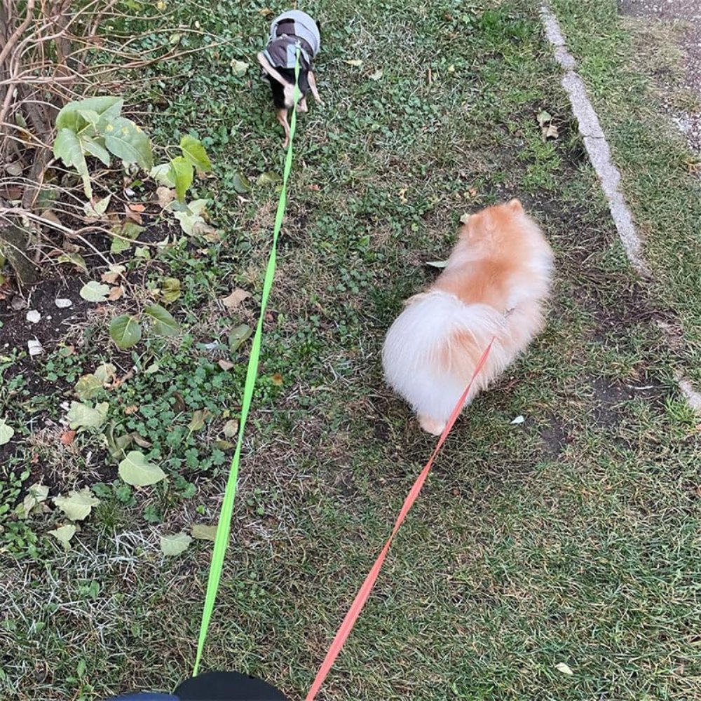 Tangle-Free Dual Dog Leash for Easy Walks with Two Dogs