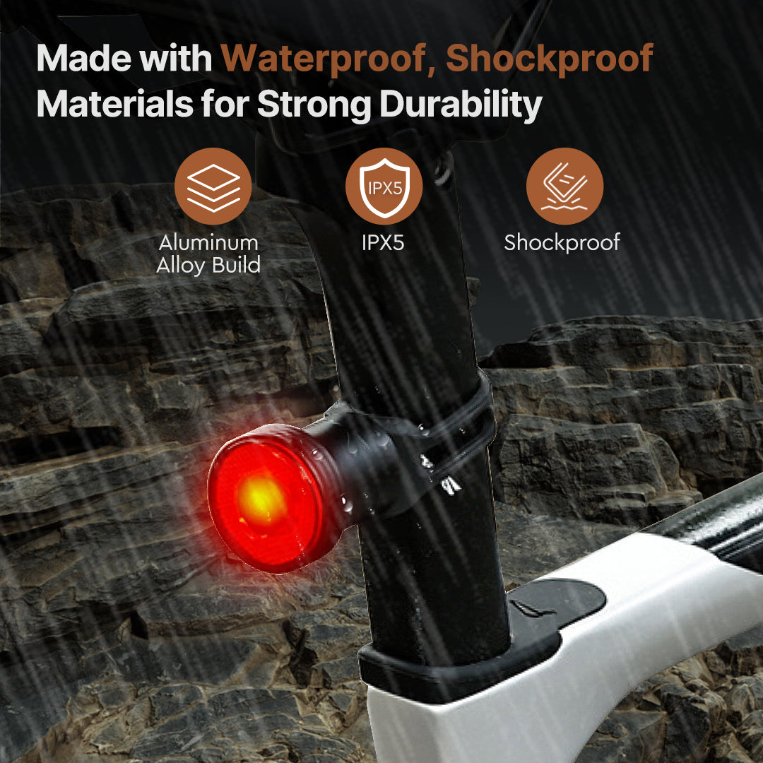 Motion Sensor Bicycle Rear Light