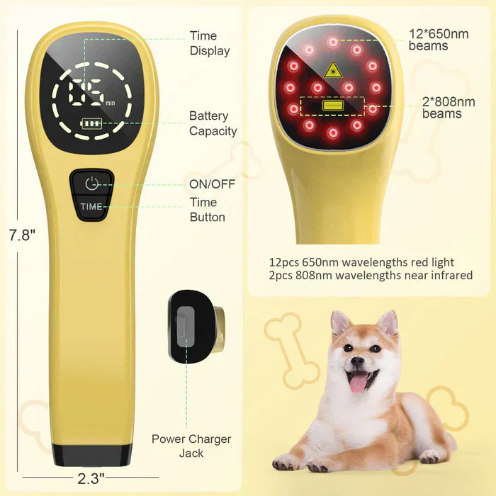Portable Cold Laser Therapy Device for Pets - Home Use