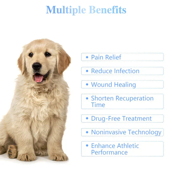 Portable Cold Laser Therapy Device for Pets - Home Use
