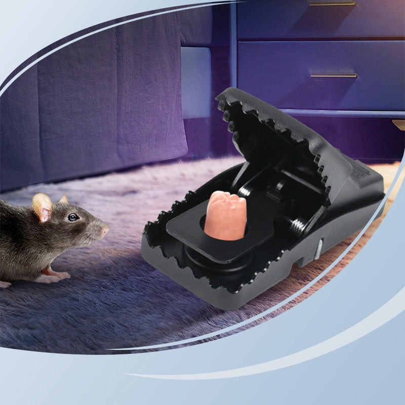 Rodent Control Solution for a Safe and Clean Home
