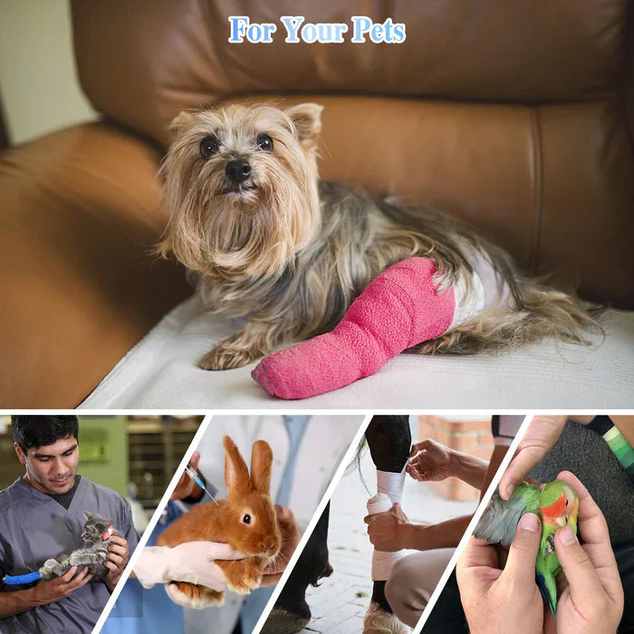 Portable Cold Laser Therapy Device for Pets - Home Use