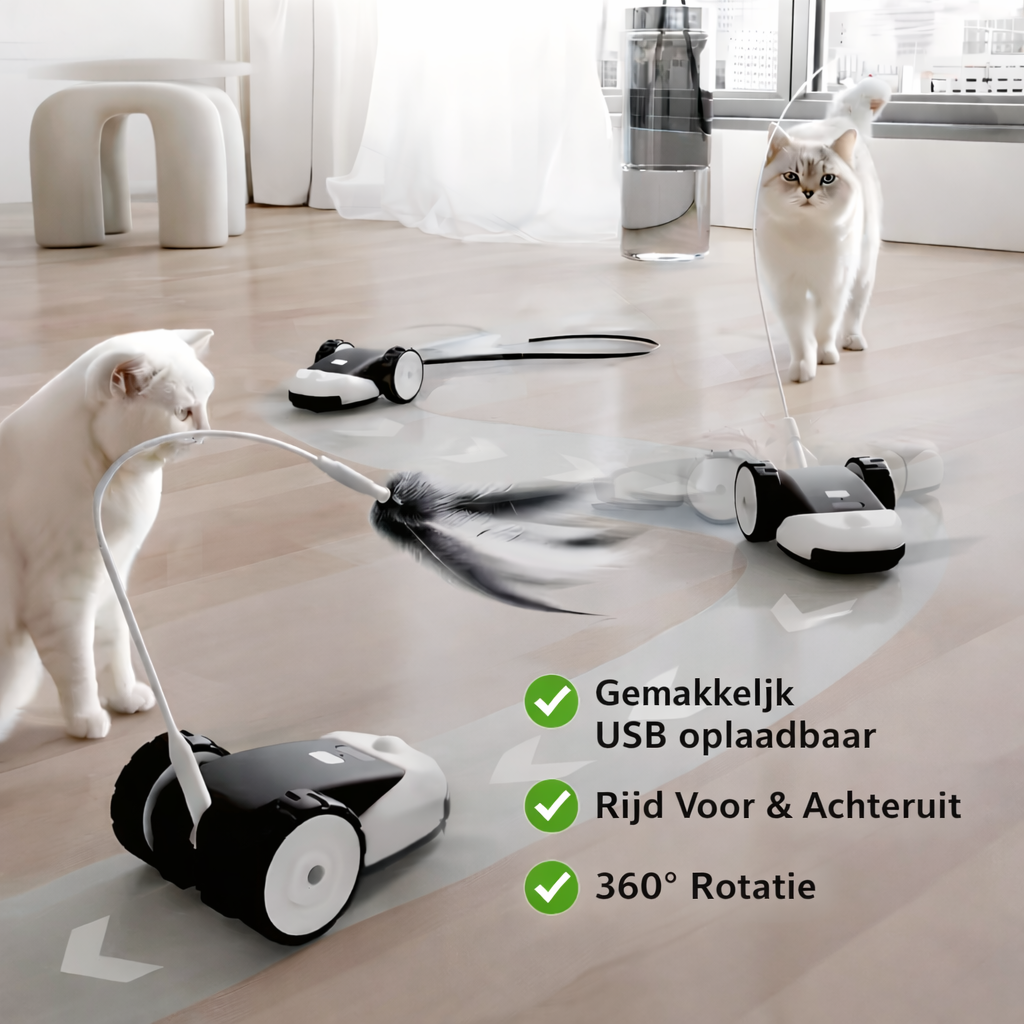Unleash Wild Playtime for Your Cat with Engaging Fun Toys