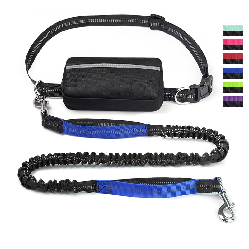 Soft Control Dog Leash for Relaxed Walks Without Jerking