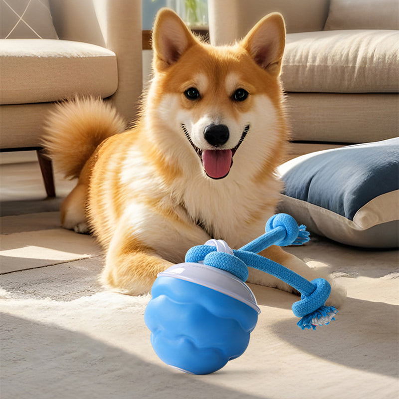 PulsePaw™ — Transform Your Pet’s Energy into Endless Joy and Calm