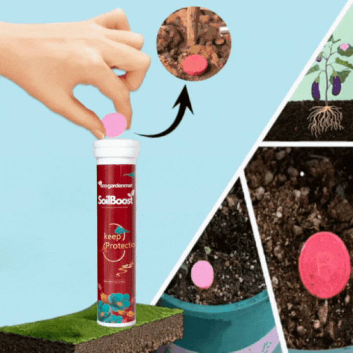 TerraThrill™ — Ignite Vibrant Growth and Watch Your Garden Thrive Effortlessly