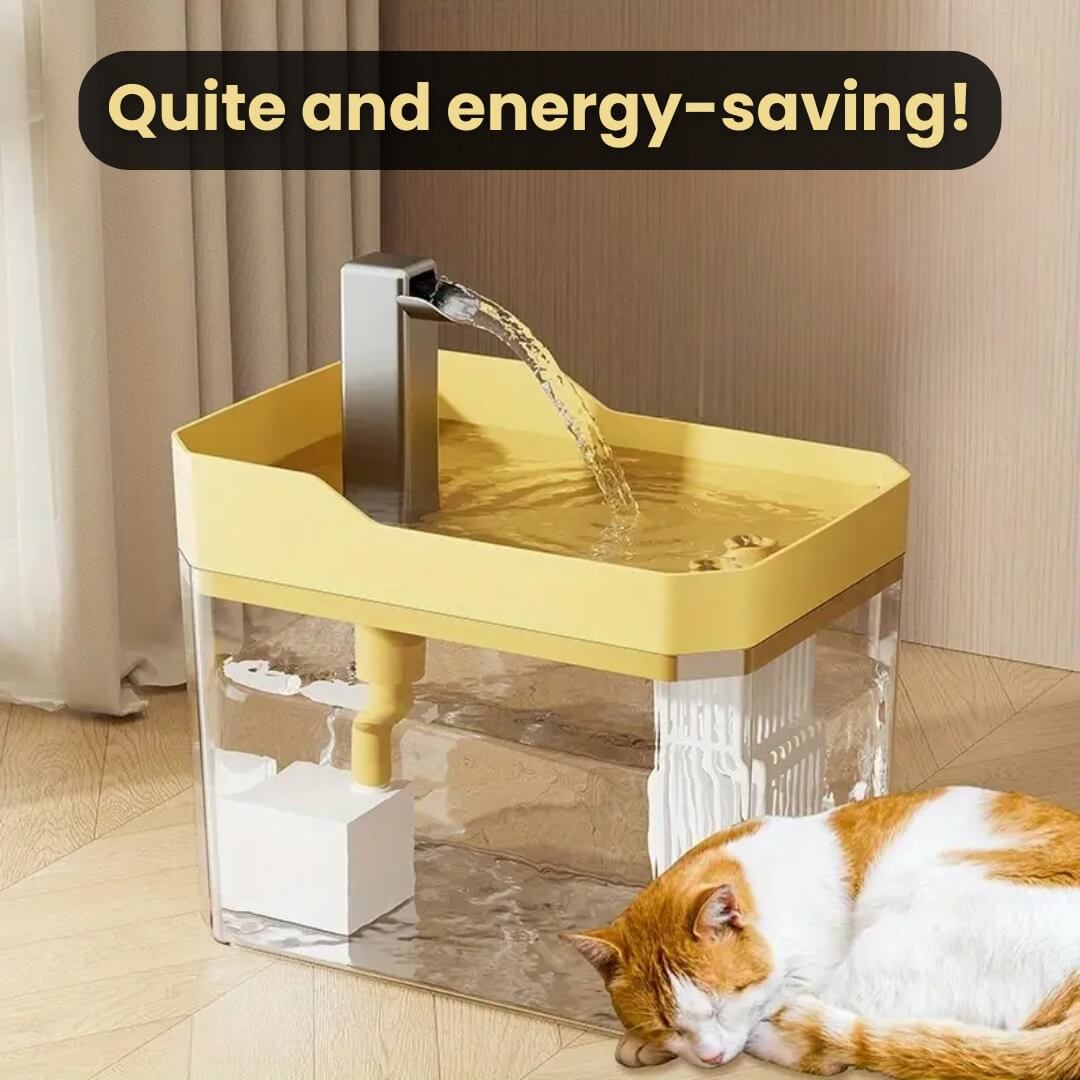 RamiraStream™ — Keep Your Cat Happy, Hydrated, and Bursting with Energy Every Day