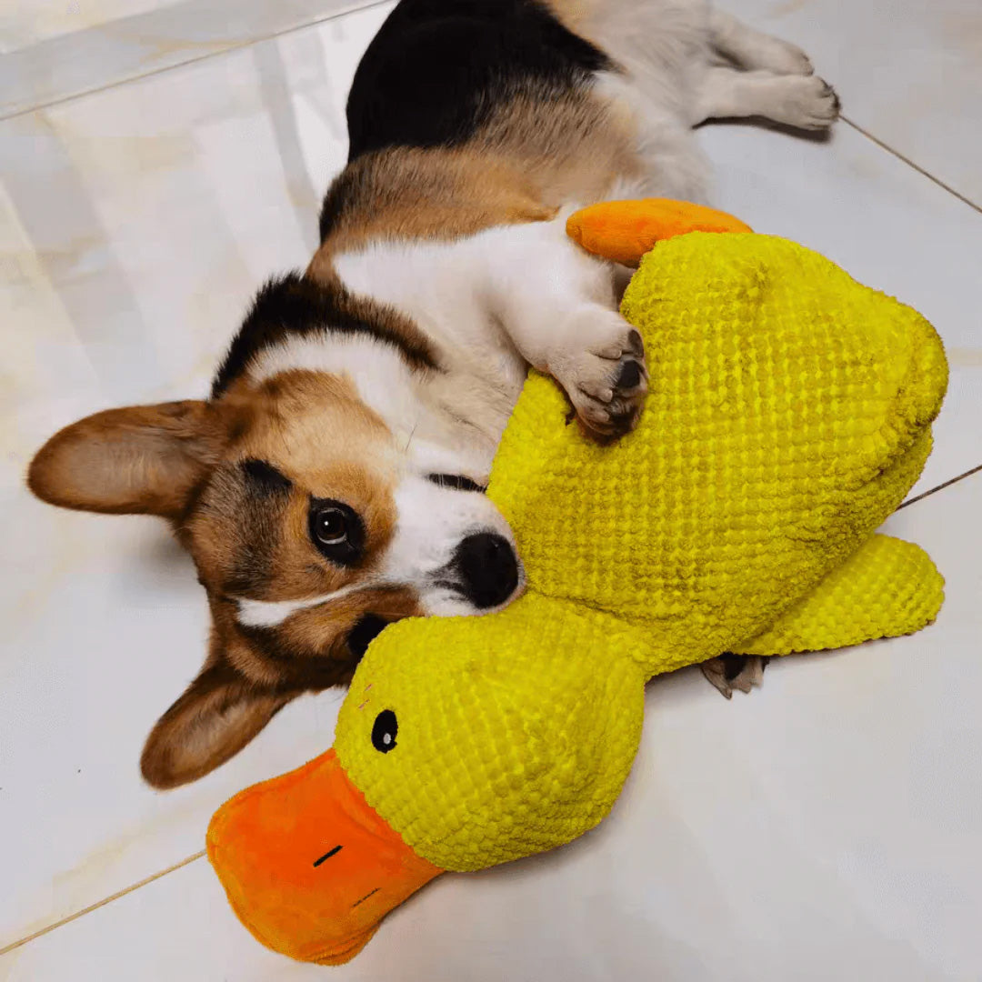 Soft Calming Dog Toy for Comfort and Mental Stimulation